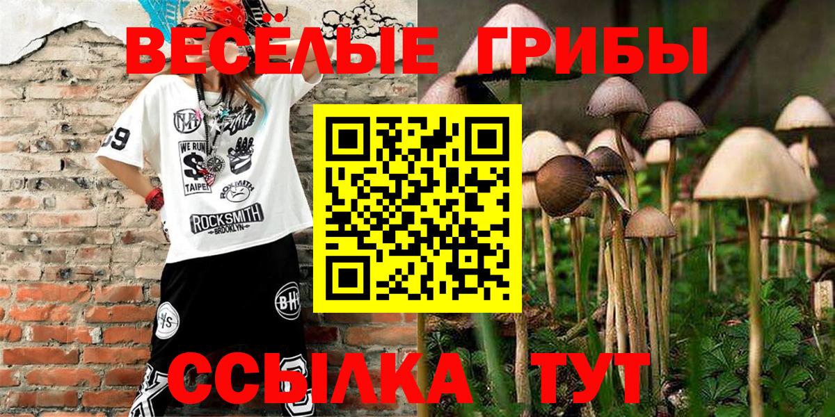 Галлюциногенные грибы прущие грибы Усть-Илимск
