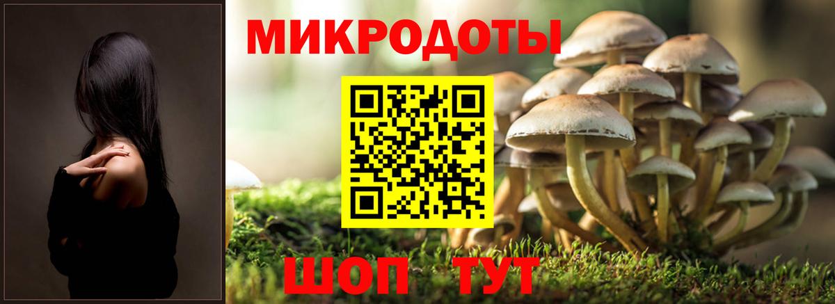 Усть-Илимск  Псилоцибиновые грибы мухоморы  Вход с VPN  Псилоцибиновые грибы ЛСД 